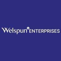 welspun enterprises ltd logo image