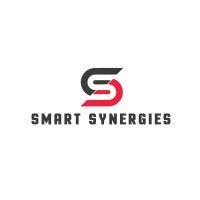 smart synergies, inc logo image