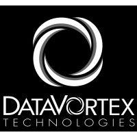 data vortex logo image