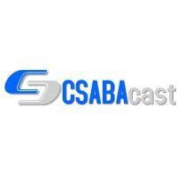 csabacast kft. logo image