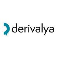 derivalya business & training school logo image