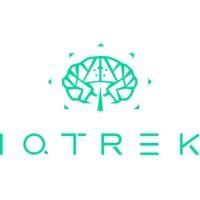 iqtrek consulting logo image