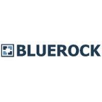 bluerock capital partners logo image