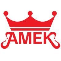 amek toys logo image