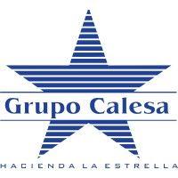 grupo calesa logo image