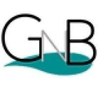 gnb ventures logo image