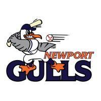 newport gulls baseball logo image