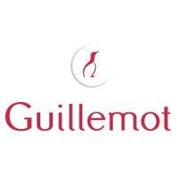 guillemot corporation