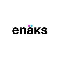 enäks | the data you need logo image