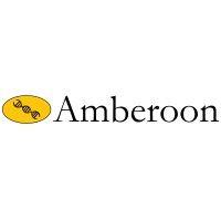 amberoon inc. logo image