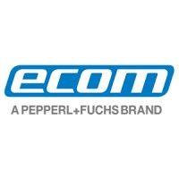 ecom instruments gmbh logo image