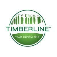 timberline team consulting logo image