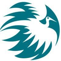 phoenix opleidingen logo image