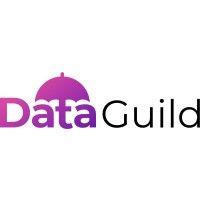 data guild logo image