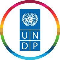 undp logo image