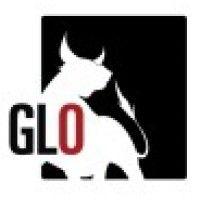 global leaders organization (glo)