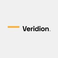 veridion logo image