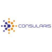 consularis technology solutions pvt. ltd. logo image