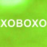 xoboxo ltd logo image