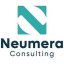 logo of Neumera Consulting