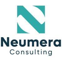 neumera consulting logo image