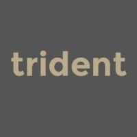 trident consultancy services ltd