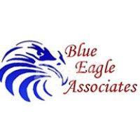 blue eagle associates logo image