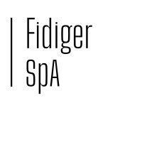 fidiger s.p.a. logo image