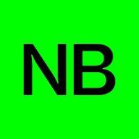 nb studio logo image