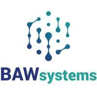 baw systems logo image