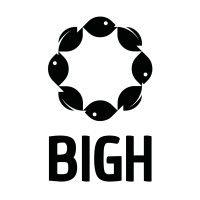 bigh logo image