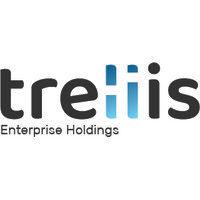 trellis enterprise holdings