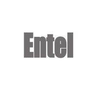 entel logo image