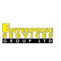 enterprise services group logo image