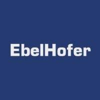 ebelhofer strategy and management consultants