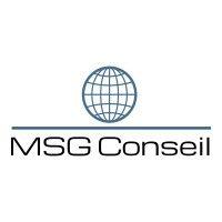 m.s.g. conseil logo image