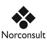 norconsult danmark logo image