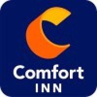 comfort inn logo image