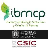 instituto de biología molecular y celular de plantas, ibmcp (upv - csic)