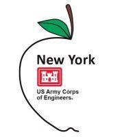 us army corps of engineers, ny district logo image