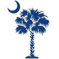 palmetto senior benefits logo image