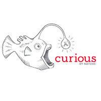 curious logo image