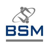 bsm lean consultants logo image