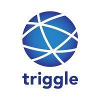 triggle logo image