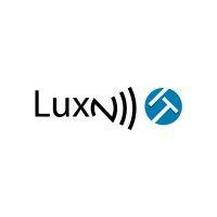 luxn it logo image