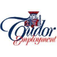 tudor employment agency ltd logo image