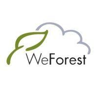 weforest 🌿 logo image