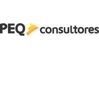 peqconsultores srl logo image