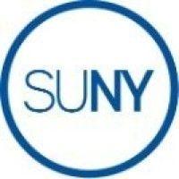 suny charter schools institute