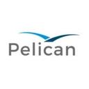 logo of Pelican Ai